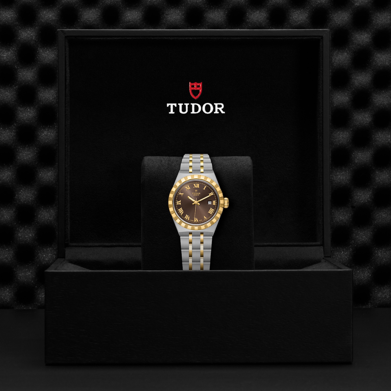 TUDOR Royal Boîtier en acier 28 mm Cadran chocolat – Image 2
