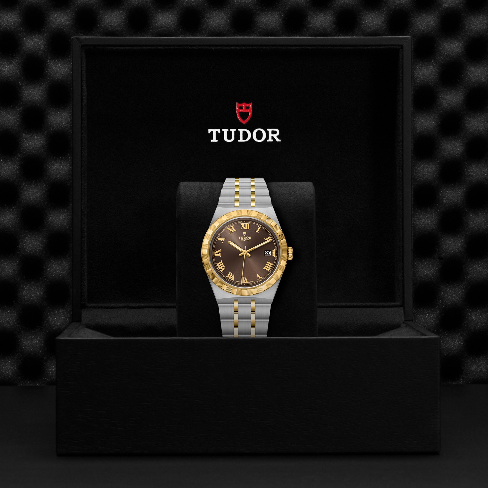 TUDOR Royal Boîtier en acier 38 mm Cadran chocolat – Image 2