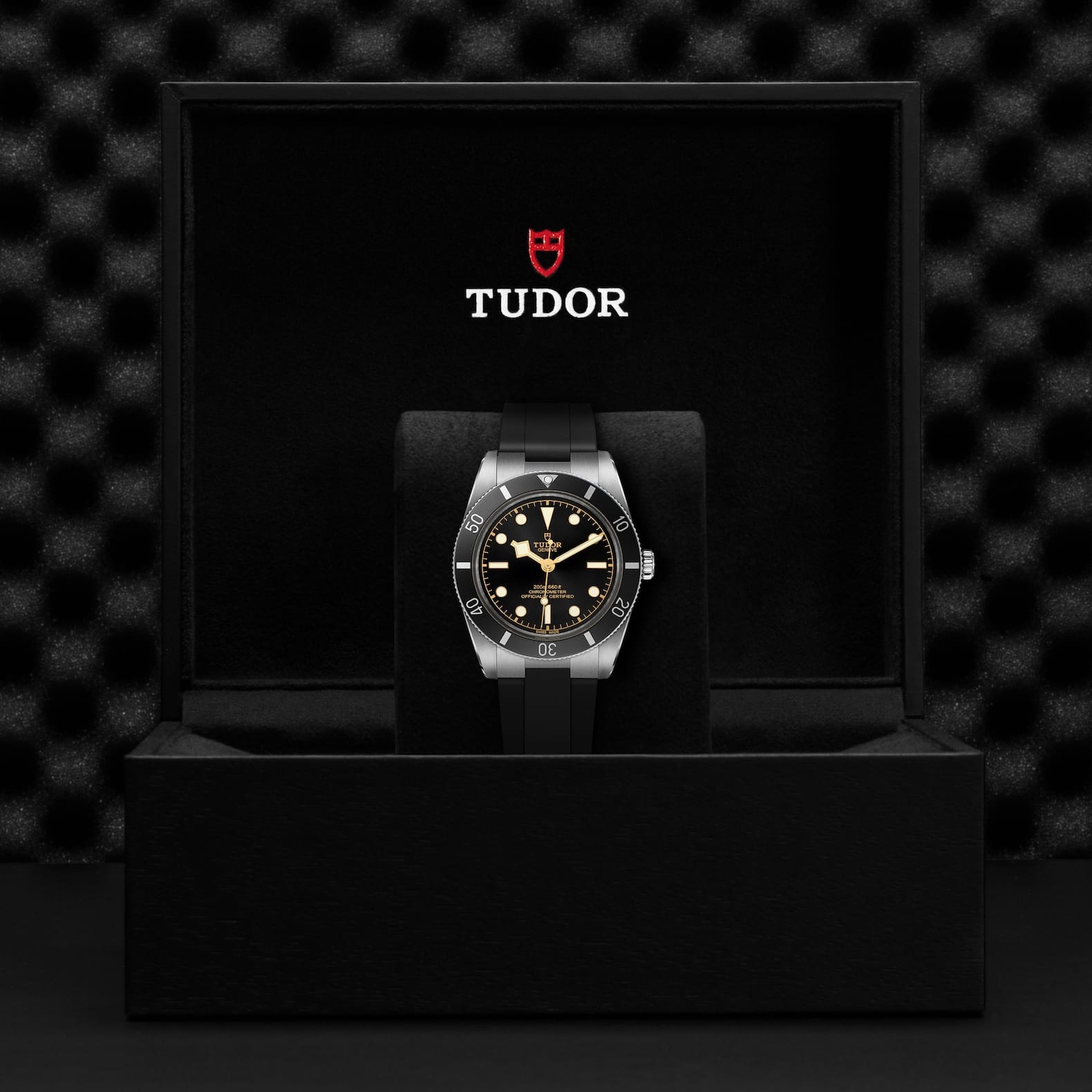 TUDOR Black Bay 54 Boîtier en acier 37 mm finition polie et satinée Bracelet en caoutchouc noir – Image 4