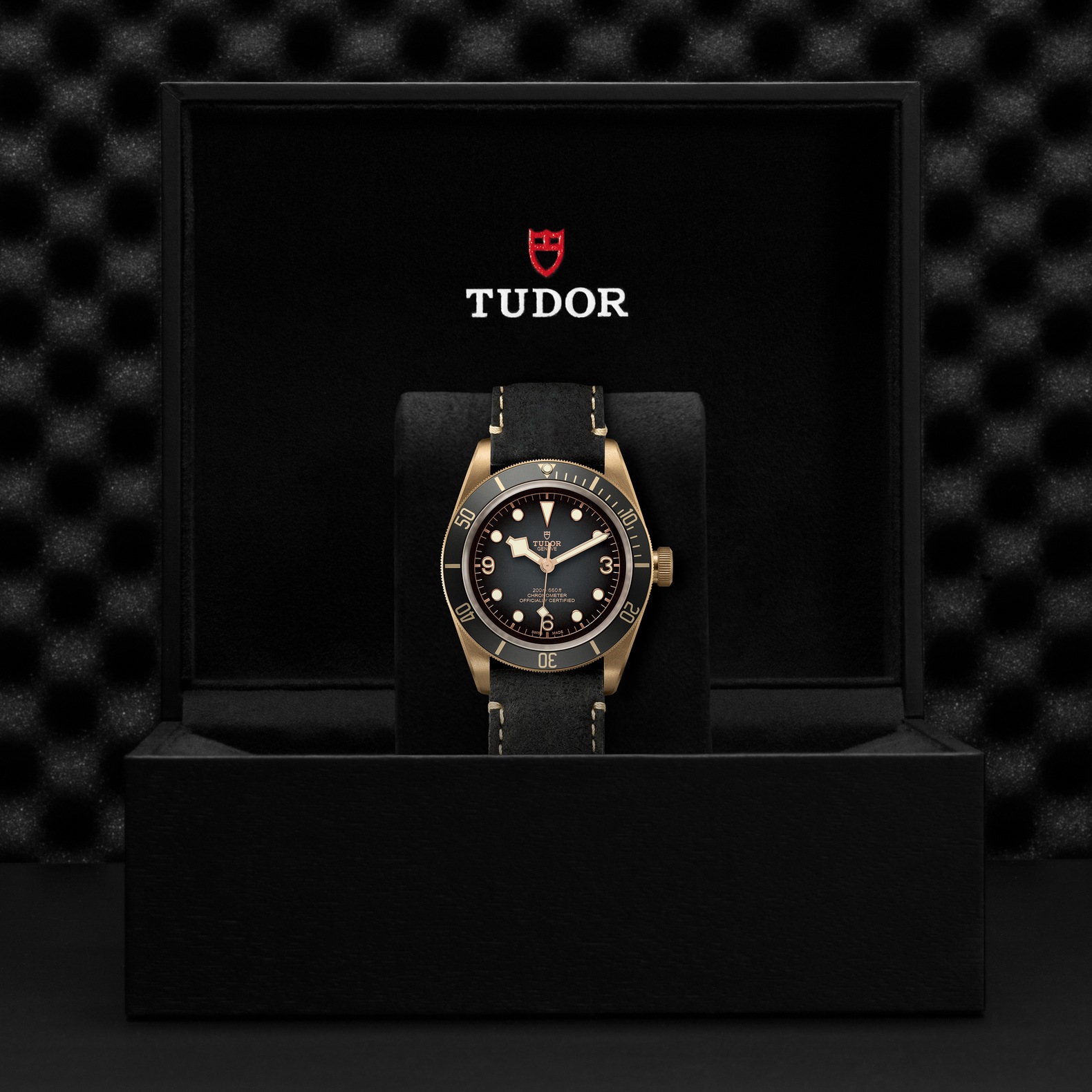 TUDOR Black Bay Bronze Boîtier en bronze 43 mm Bracelet en cuir noir Cadran Gris ardoise – Image 2