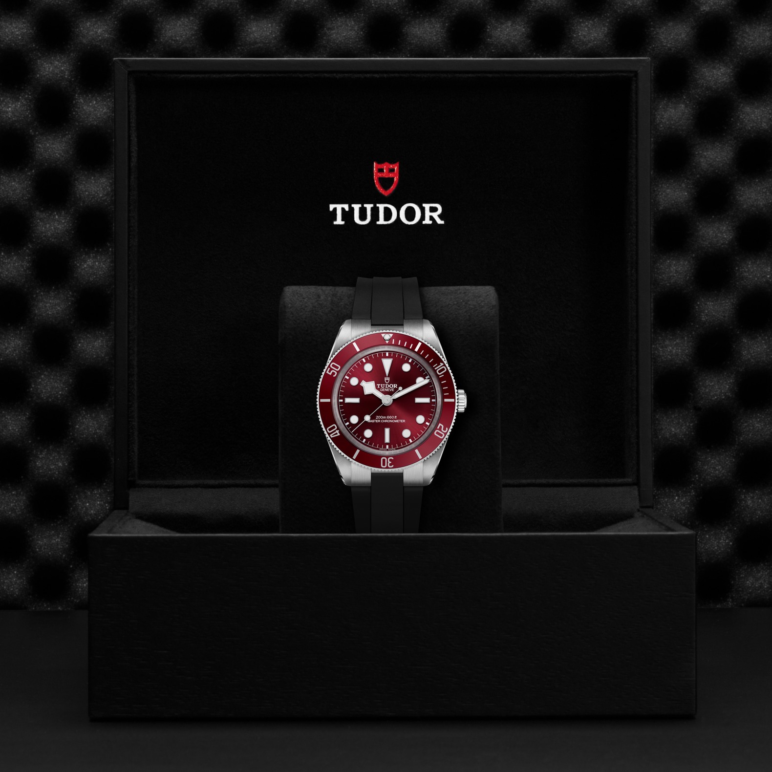 TUDOR Black Bay 58 Boîtier en acier 39 mm Cadran bordeaux Bracelet en caoutchouc – Image 3