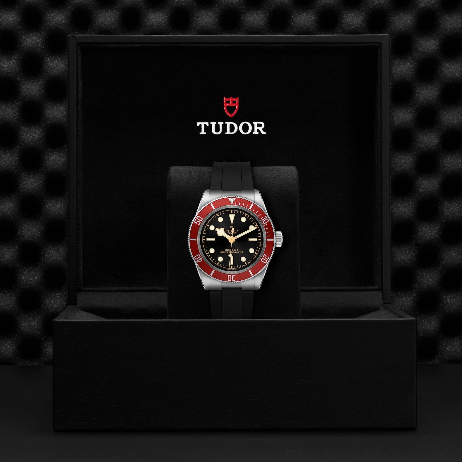 TUDOR Black Bay Boîtier en acier 41 mm Bracelet en caoutchouc noir – Image 4