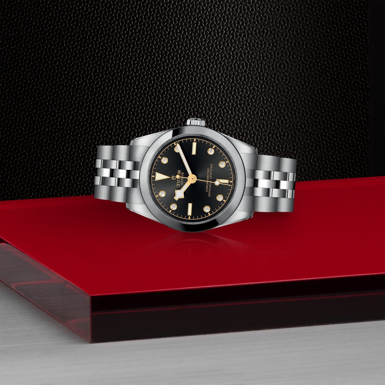 TUDOR Black Bay 31 Boîtier en acier 31 mm Bracelet en acier Cadran Anthracite avec 8 diamants – Image 3