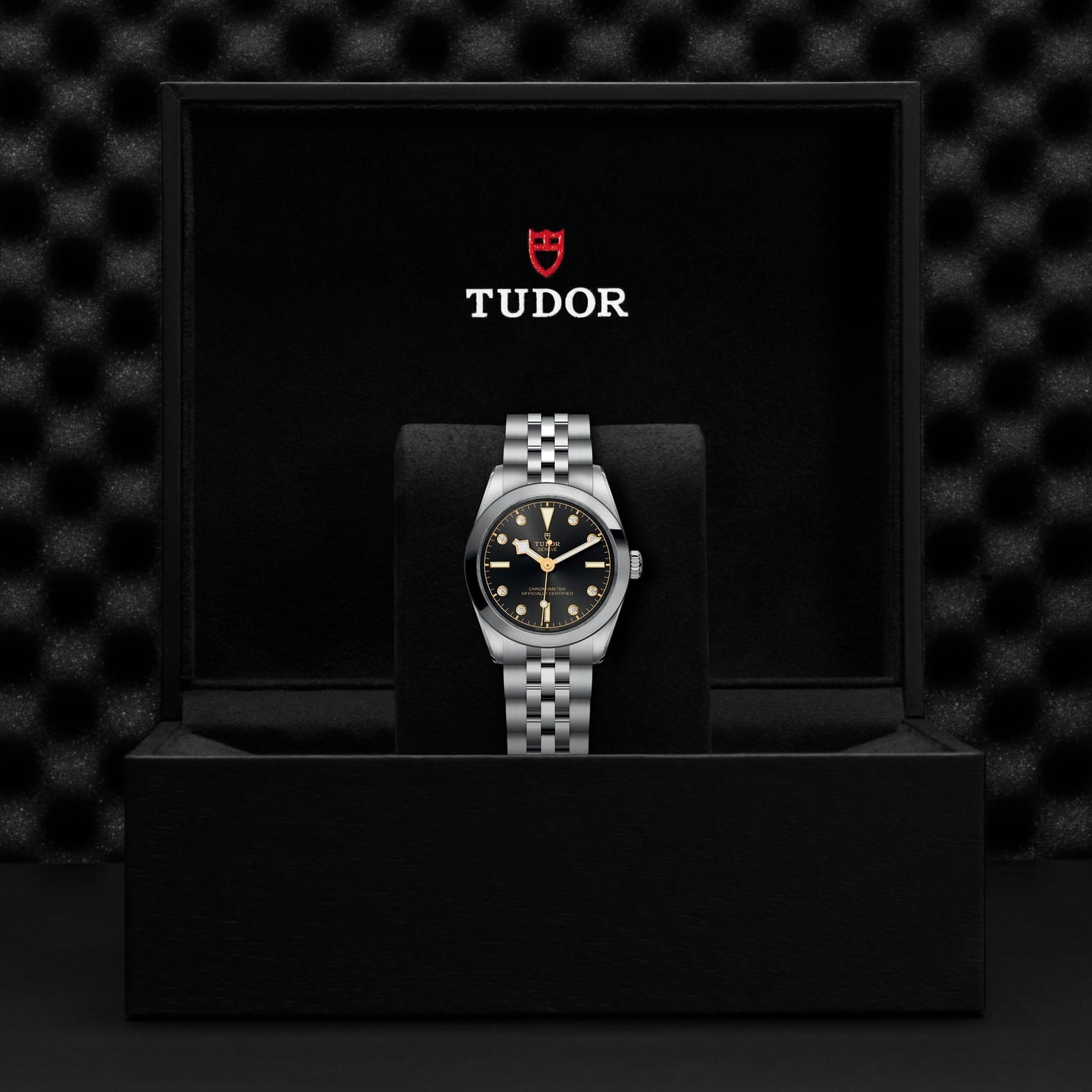 TUDOR Black Bay 31 Boîtier en acier 31 mm Bracelet en acier Cadran Anthracite avec 8 diamants – Image 2