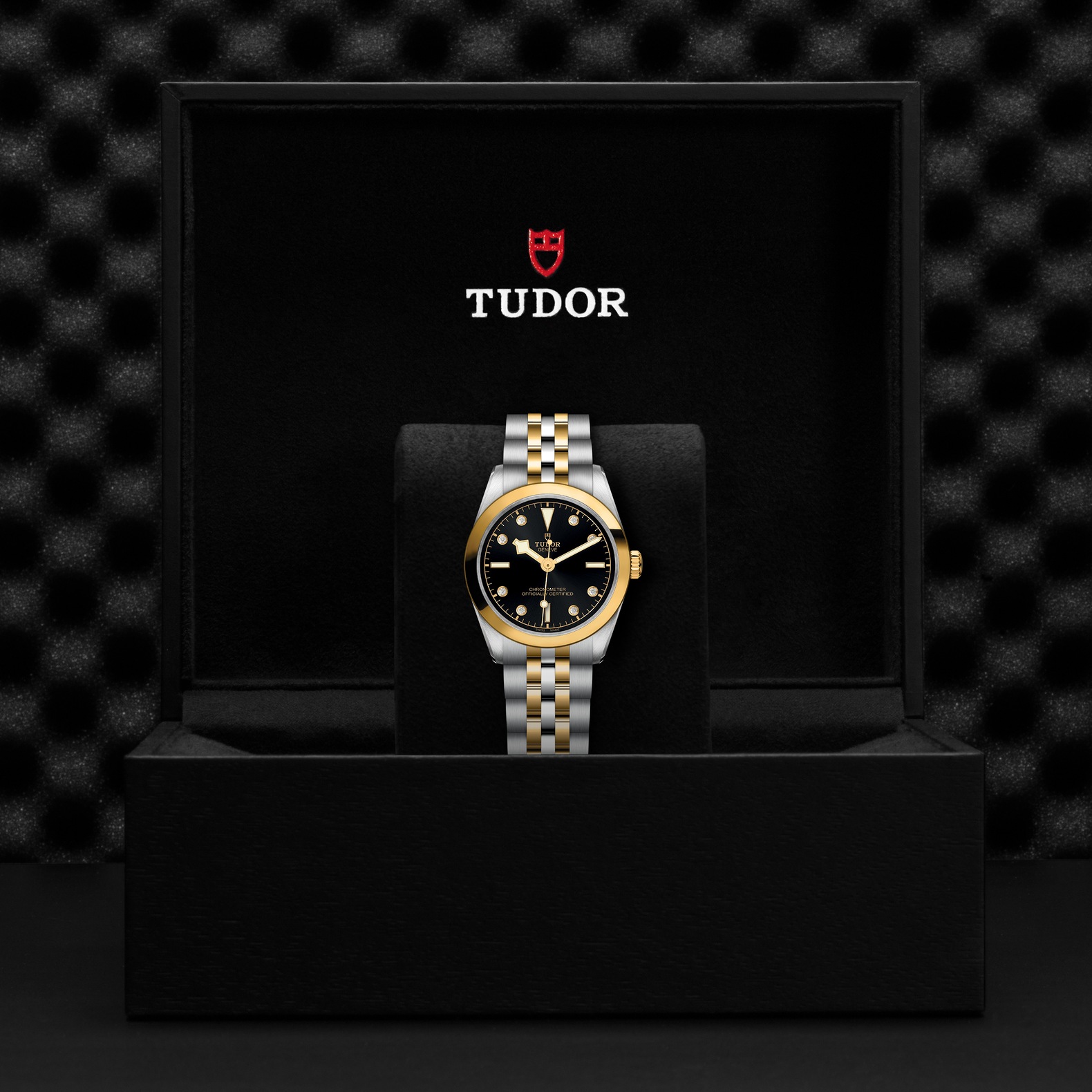TUDOR Black Bay 31 S&G Boîtier en acier 31 mm Bracelet en acier et or jaune Cadran Noir avec index diamants – Image 2