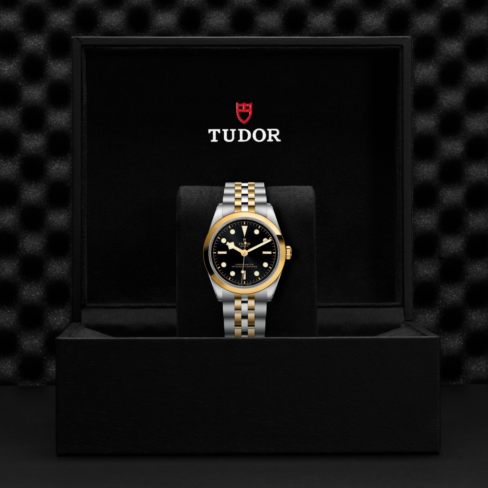 TUDOR Black Bay 36 S&G Boîtier en acier 36 mm Bracelet en acier et or jaune Cadran Noir – Image 2