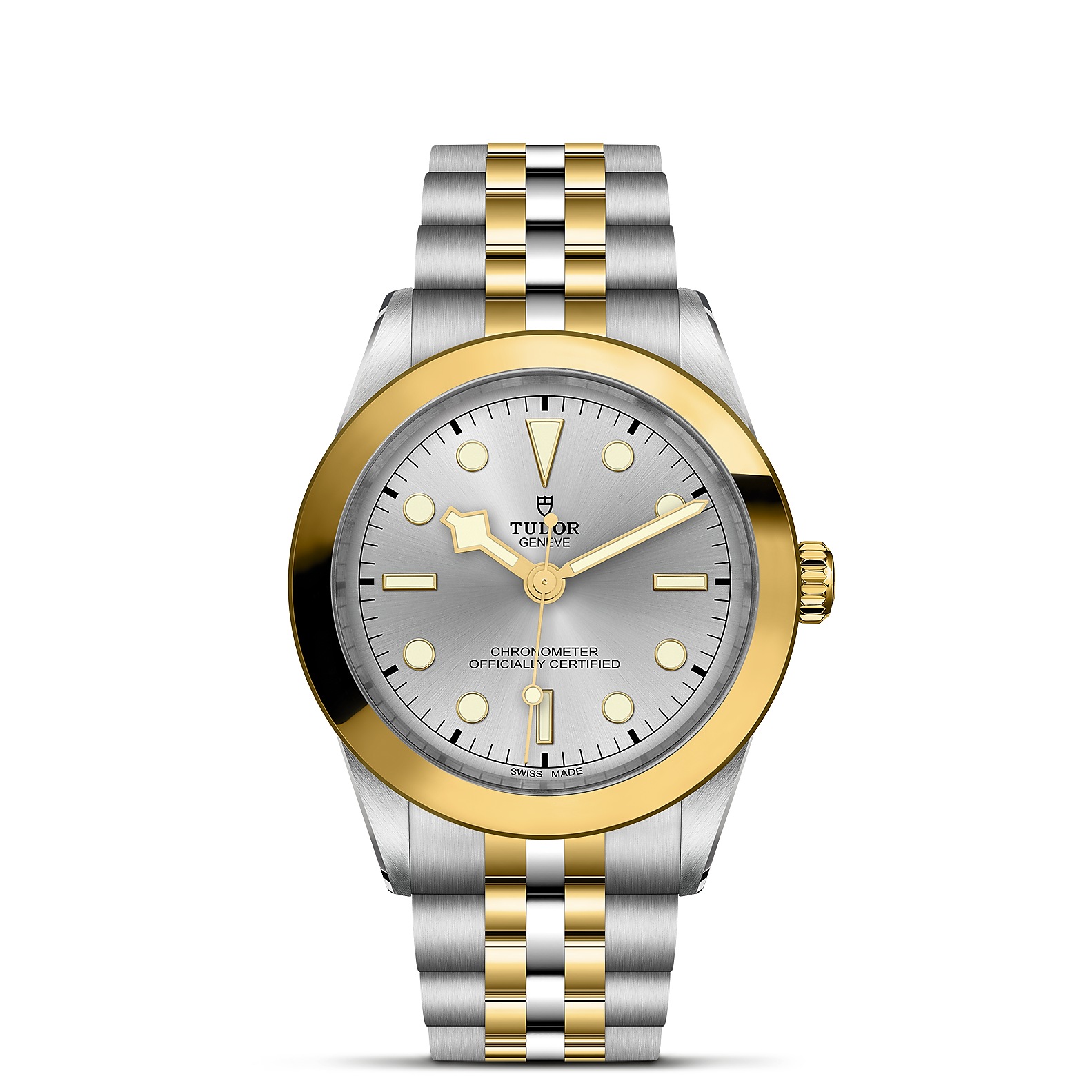 TUDOR Black Bay 39 S&G Boîtier en acier 39 mm Bracelet en acier et or jaune Cadran Argenté
