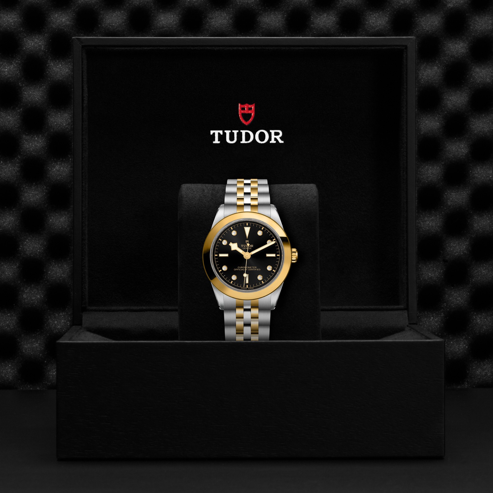 TUDOR Black Bay 39 S&G Boîtier en acier 39 mm Bracelet en acier et or jaune Cadran Noir avec index diamants – Image 2
