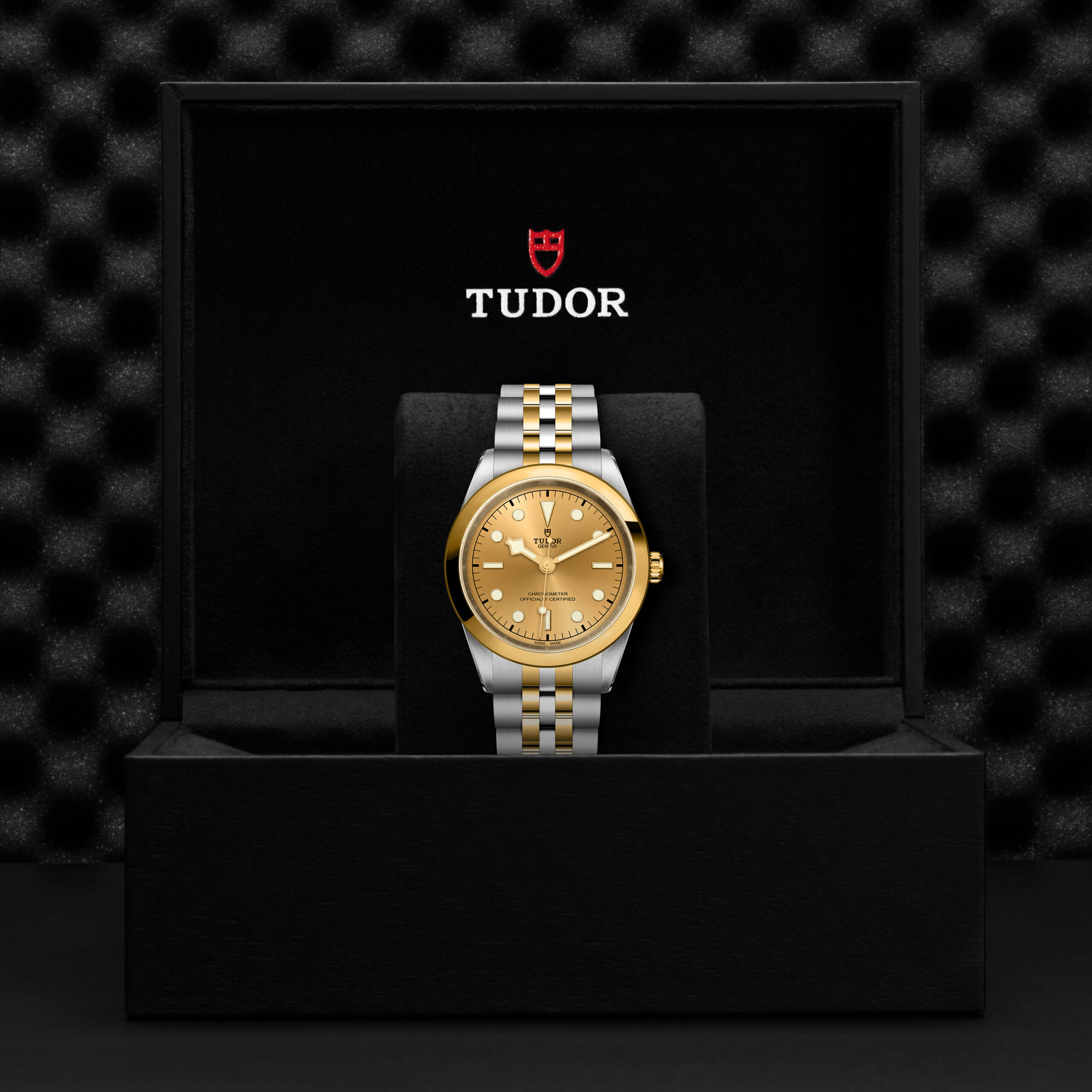 TUDOR Black Bay 41 S&G Boîtier en acier 41 mm Bracelet en acier et or jaune Cadran Champagne – Image 2