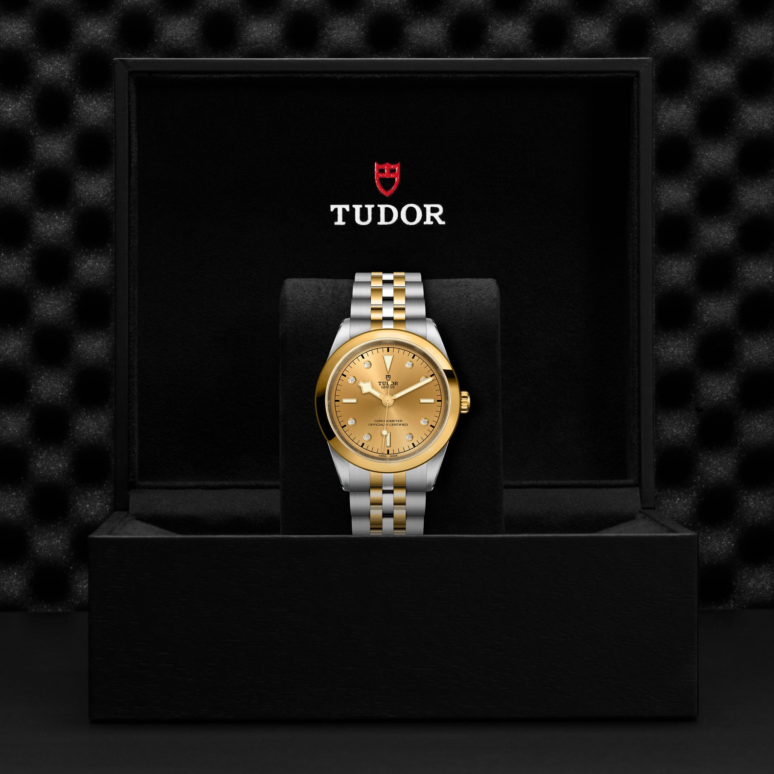 TUDOR Black Bay 41 S&G Boîtier en acier 41 mm Bracelet en acier et or jaune Cadran Champagne avec index diamants – Image 2