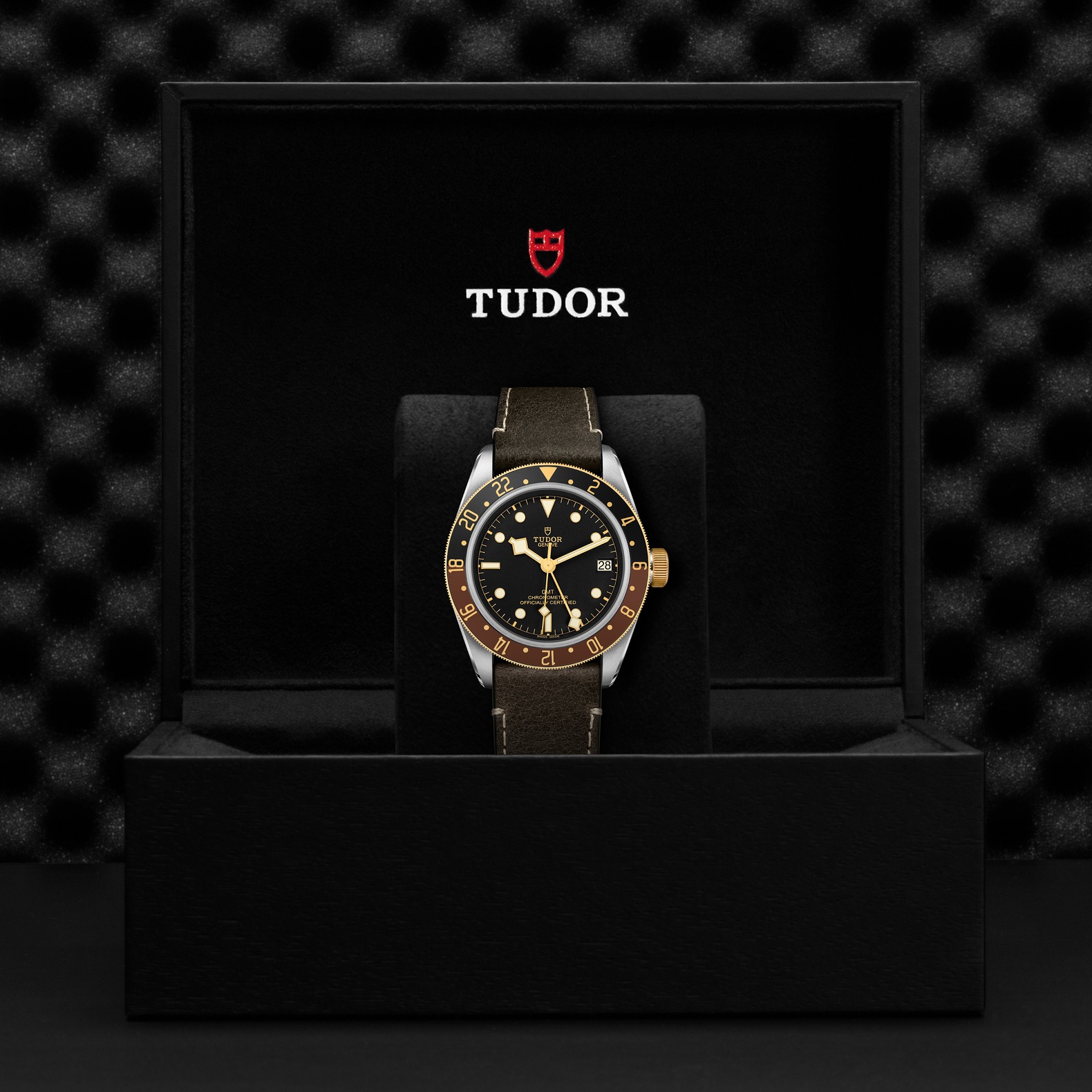 TUDOR Black Bay GMT S&G Boîtier en acier 41 mm Cadran Noir Bracelet en cuir brun – Image 2