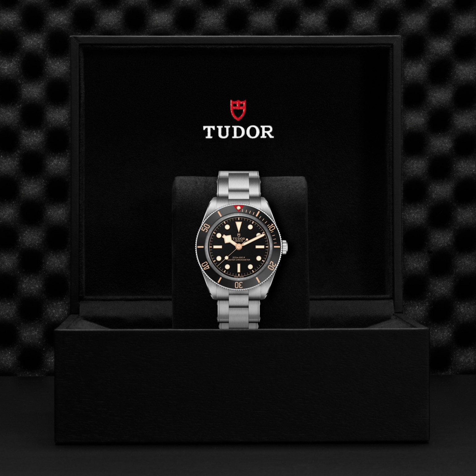 TUDOR Black Bay 58 Boîtier en acier 39 mm Bracelet en acier façon rivet Cadran noir mat – Image 2